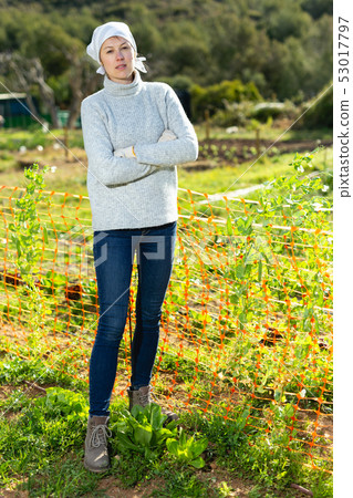 Young woman gardener working with seedlings Young woman gardener working with seedlings 53017797