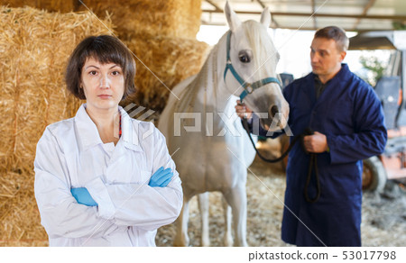 Female veterinarian at horse stable Female veterinarian at horse stable 53017798