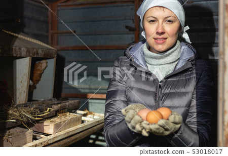 Woman holding raw chicken eggs 53018017