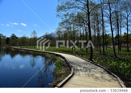 Myoko Kogen Newt Pond Myoko Kogen Newt Pond 53019466