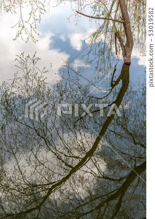 中國雲南麗江拉市海 Scenic Spots in China 國際重要濕地 自然保護區 候鳥 53019582