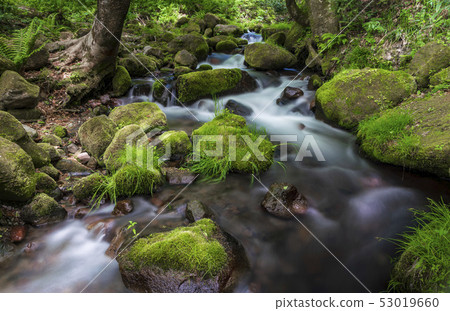 Oku Oyama Kitanizawa mountain stream May Oku Oyama Kitanizawa mountain stream May 53019660