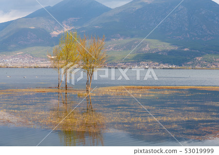 中國雲南麗江拉市海 Scenic Spots in China 國際重要濕地 自然保護區 候鳥 53019999
