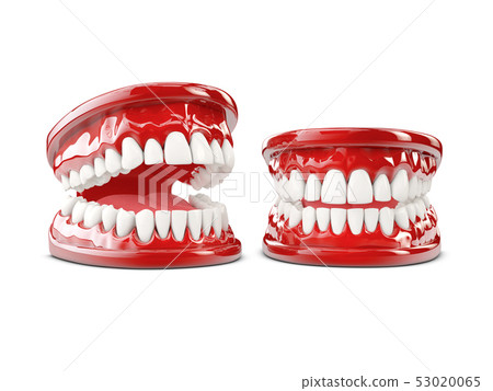 3d Illustration of human teeth, open and close mouth on white background 3d Illustration of human teeth, open and close mouth on white background 53020065