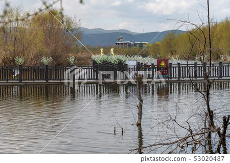 Lashihai, Lijiang, Yunnan, China Scenic Spots in China International Important Wetlands Nature Reserve Migratory Birds Lashihai, Lijiang, Yunnan, China Scenic Spots in China International Important Wetlands Nature Reserve Migratory Birds 53020487