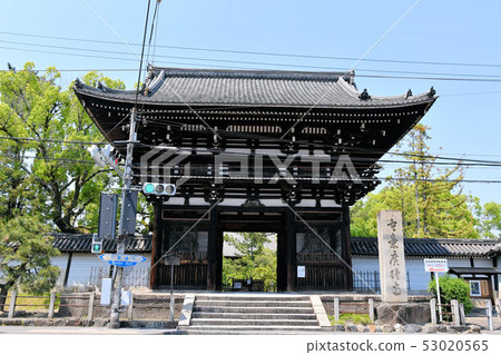 Koryu-ji寺 Koryu-ji寺 53020565