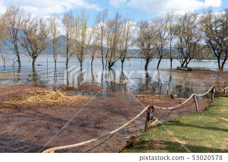 Lashihai, Lijiang, Yunnan, China Scenic Spots in China International Important Wetlands Nature Reserve Migratory Birds 53020578
