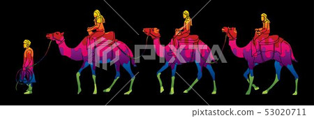 Cameleer with camels cartoon graphic vector Cameleer with camels cartoon graphic vector 53020711