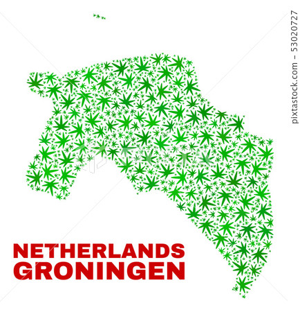 Hemp Leaves Collage Groningen Province Map Hemp Leaves Collage Groningen Province Map 53020727