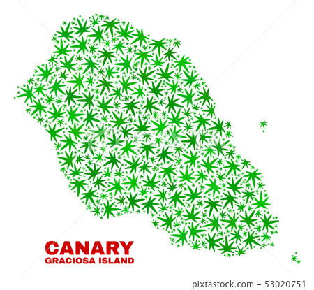 Hemp Leaves Collage Graciosa Island Map Hemp Leaves Collage Graciosa Island Map 53020751