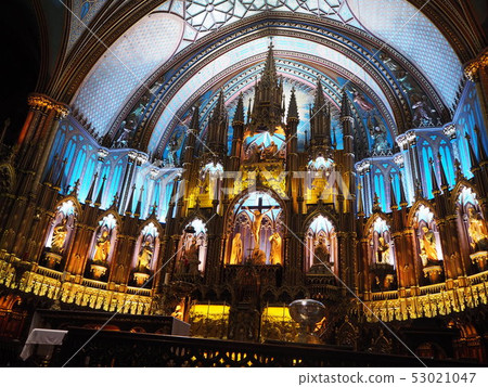 Inside the sparkling Notre Dame Cathedral 53021047