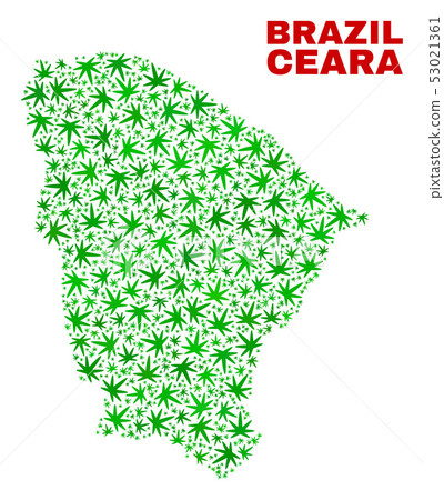 Hemp Leaves Collage Ceara State Map Hemp Leaves Collage Ceara State Map 53021361