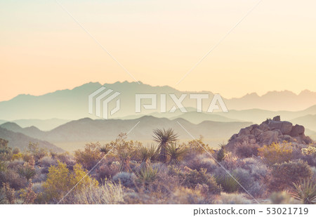 Arizona landscapes Arizona landscapes 53021719