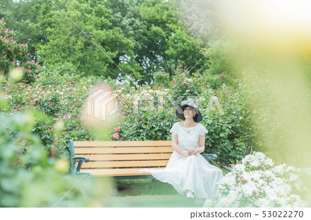  Rose garden Women expressing joy Rose flower Rose Flower garden 53022270