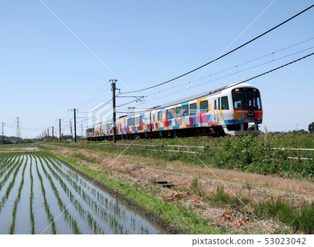 Twinkle twinkle 53023042