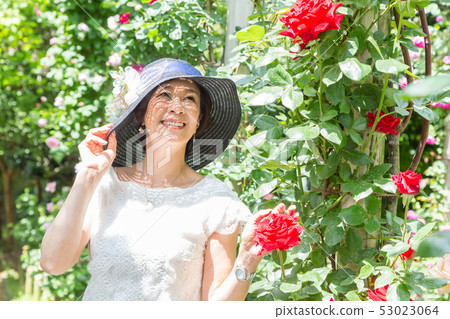  Rose garden Women expressing joy Rose flower Rose Flower garden 53023064
