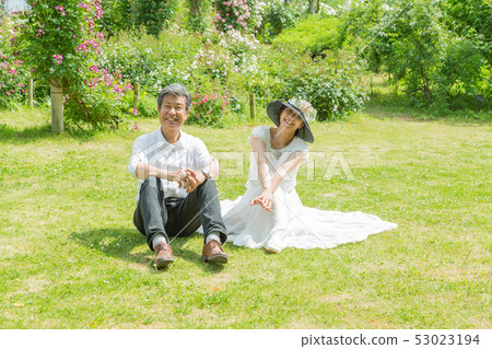  Married couple Senior couple traveling in the rose garden Rose flower Rose flower garden 53023194