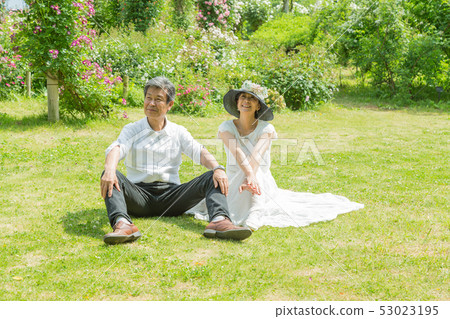  已婚夫婦旅行在玫瑰園玫瑰花玫瑰花園的年長夫婦 53023195