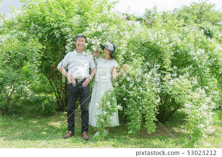 Married couple Senior couple traveling in the rose garden Rose flower Rose flower garden Married couple Senior couple traveling in the rose garden Rose flower Rose flower garden 53023212