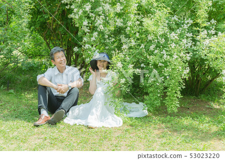 Married couple Senior couple traveling in the rose garden Rose flower Rose flower garden Married couple Senior couple traveling in the rose garden Rose flower Rose flower garden 53023220