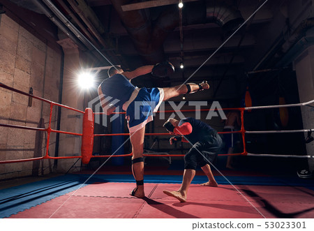 Boxers training kickboxing in the ring at the health club 53023301