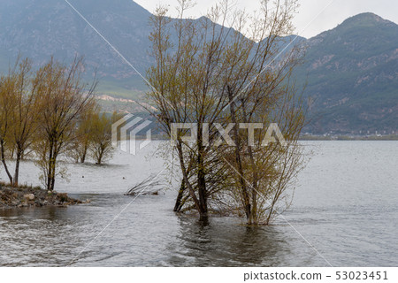 中國雲南麗江拉市海 Scenic Spots in China 國際重要濕地 自然保護區 候鳥 中國雲南麗江拉市海 Scenic Spots in China 國際重要濕地 自然保護區 候鳥 53023451