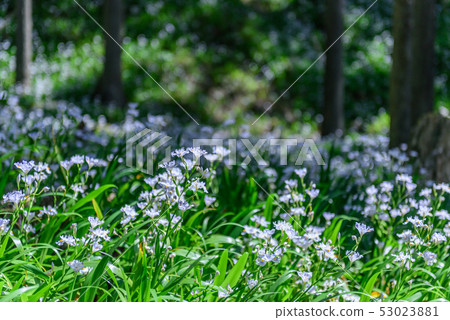 京都府水源村乙to 53023881