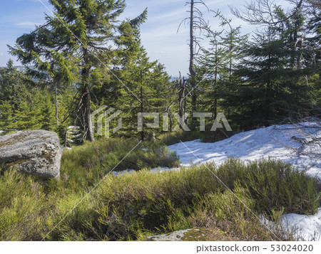 Jizera Mountains jizerske hory panoramic landscape, view from ridge of holubnik mountain with lush 53024020