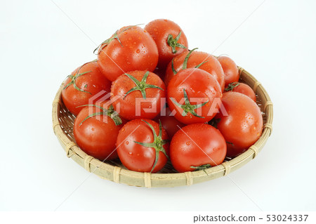 Fresh Organic Tomatoes 53024337