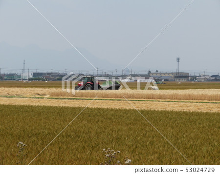 Farm work Farm work 53024729