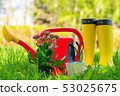 rubber boots, watering can and gardener's tools 53025675