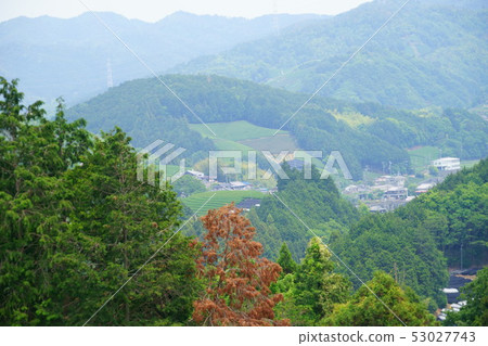 京都府·景觀物業登記區·茶園2 京都府·景觀物業登記區·茶園2 53027743