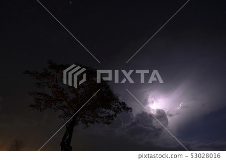 Silhouette tree in the night with rain cloud Silhouette tree in the night with rain cloud 53028016
