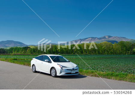 Tsumagoi村莊一流的景色驅動Tsumagoi全景線 53034268