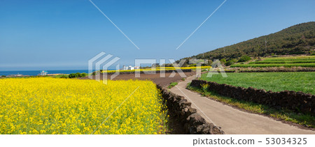 island of Udo on the background of green fields and blue sea, a trip to South Korea, a landscape island of Udo on the background of green fields and blue sea, a trip to South Korea, a landscape 53034325