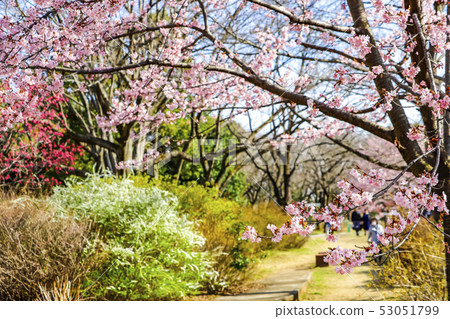 Spring landscape 53051799