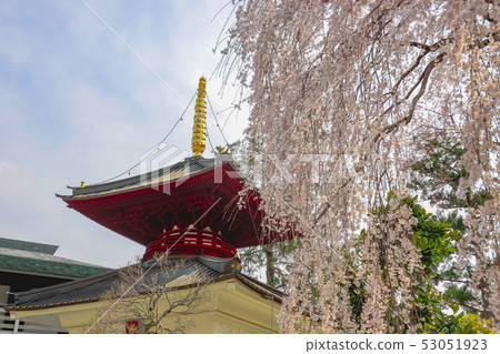 [山梨縣]春天的信濃山關氏寺 53051923