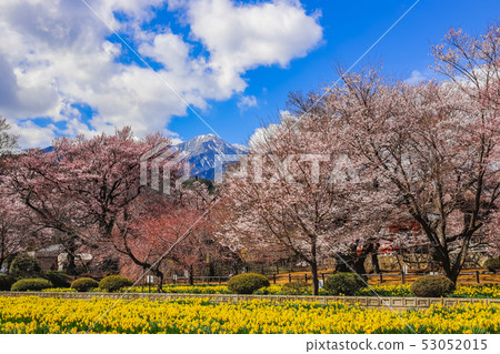 [Yamanashi] Jinji Temple and the Southern Alps in spring 53052015