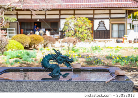 [山梨縣]金雞寺春天 53052018