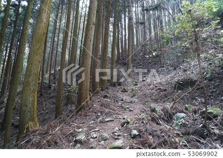 龍門山的山路 53069902