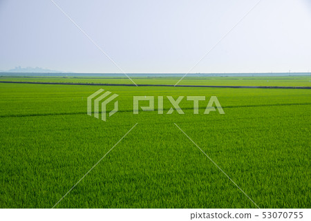 Green plain 53070755