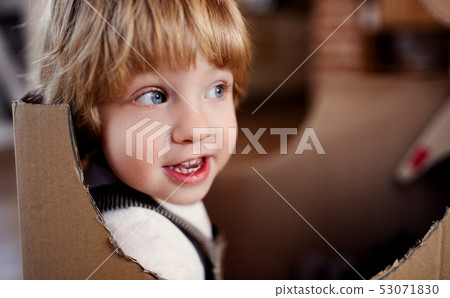 A close-up of toddler boy playing indoors at home. Copy space. A close-up of toddler boy playing indoors at home. Copy space. 53071830
