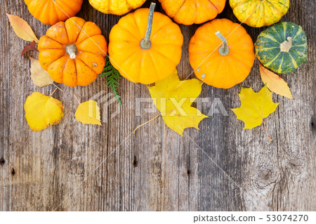 pumpkin on table 53074270