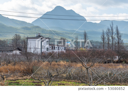 Lashihai, Lijiang, Yunnan, China Scenic Spots in China Plateau Wetland Provincial Nature Reserve Rush Sea Migratory Birds Lashihai, Lijiang, Yunnan, China Scenic Spots in China Plateau Wetland Provincial Nature Reserve Rush Sea Migratory Birds 53080852
