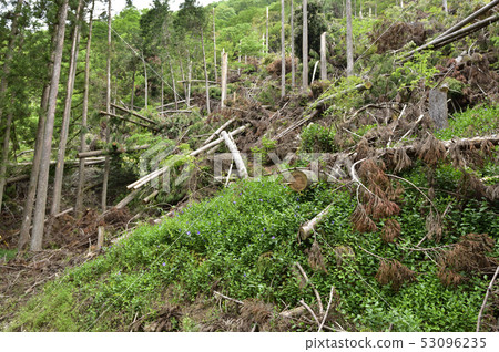 [社會問題]森林砍伐山體滑坡自然災害 53096235