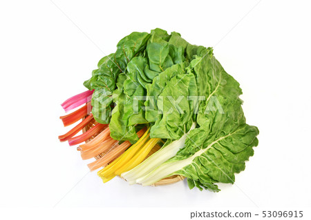Colorful swiss chard 53096915