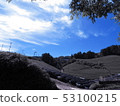 Tea plantation 53100215