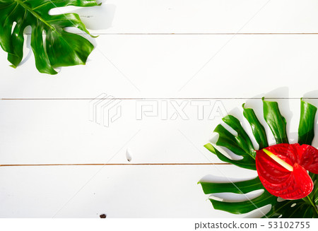 Summer flat lay scenery on white boards Summer flat lay scenery on white boards 53102755