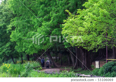 Tokyo Spring Ishigami Park 53106069