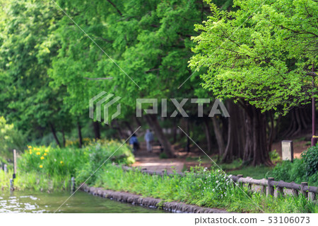 Tokyo Spring Ishigami Park 53106073